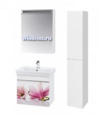 Vision 55 (орхидея)