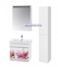 Vision 60 (орхидея)