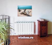 Style Extra 350 биметаллический