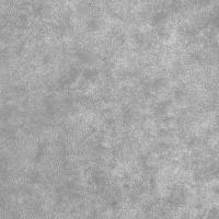 Обои BN Shadows/Wall 46120BN