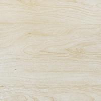 Ламинат Floor Step B-109 (Клен Скандинавский)